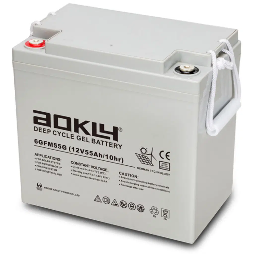 Aokly Gel Battery 6GFM55G